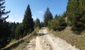 Percorso Marcia Viuz-la-Chiésaz - Semnoz, mon tour des lacs et des crêts  - Photo 4