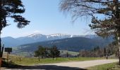 Tour Mountainbike Urbach bei Kaysersberg - Fréland - Col du Wettstein - Photo 3