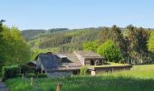 Tocht Stappen Vielsalm - rando ennal 11-05-2022 - Photo 20