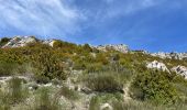 Tour Wandern Castellane - Chasteuil - Cadières de Brandis - Photo 12