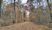 Trail Walking Vendeuvre-sur-Barse - Funghi automne 19 A - Photo 2