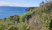 Tocht Trail Cavalaire-sur-Mer - cavalaire, corniche des maures  - Photo 5