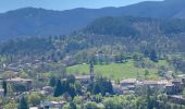 Tour Wandern Fabras - Fabras Jaujac les orgues basaltiques  - Photo 11