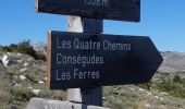 Tour Wandern Coursegoules - Circuit de la Chapelle Saint Michel à Coursegoules - Photo 9