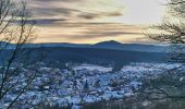 Tocht Te voet Rosheim - Circuit du Vignoble - Photo 10