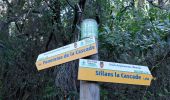 Trail Walking Sillans-la-Cascade - 20211006 Sillans la cascade 3 - Photo 8