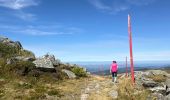 Trail Walking Saint-Pierre-la-Bourlhonne - Col du Beal  - Photo 4