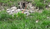 Trail Walking Tignes - Palafour- Aiguille percée  - Photo 14