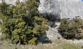 Randonnée Marche Bonnieux - PF-Bonnieux - Massif des Cèdres - Roque des Bancs - Les Portalas - AT - Photo 10