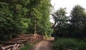 Tour Zu Fuß Bad Sooden-Allendorf - Rundwanderweg BSA 2 zum Schloss Rothestein - Photo 6