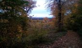 Trail Walking Marchaux-Chaudefontaine - Chaudefontaine - Photo 5
