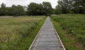 Tocht Stappen Guînes - Marais de Guines - Photo 4