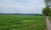 Tour Wandern Paliseul - Our Opont 090524 - Photo 7