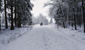 Tour Wandern Büllingen - La vallée perdue - Rocherath  - Photo 1