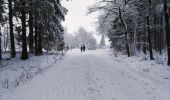 Randonnée Marche Bullange - La vallée perdue - Rocherath  - Photo 1