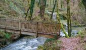 Tour Wandern Lavans-lès-Saint-Claude - Ponthoux Cuttura  - Photo 1