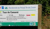 Randonnée Marche Camaret-sur-Mer - PR12 de Pen Hir à Camaret et retour - Photo 6