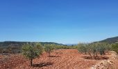 Randonnée Marche Le Bosc - Salelles Mougères Les Combes - Photo 10