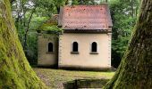 Percorso Marcia Châtenois - Boucle départ D1059 chemin du Heiderbuehl, Chapelle de l'Aigle - Photo 1