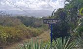 Tour Wandern Rivière-Salée - Rivière Salée - Les Trois-Ilets - Le Défi 2025 - Photo 7