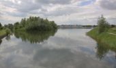 Tocht Te voet Houten - Rietplas & Schonauwen - Photo 3