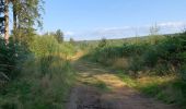Trail Walking Saint-Hubert - Transforestiere 3  - Photo 14