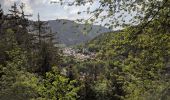 Tour Zu Fuß Unterwellenborn - Rundwanderweg H4 - Photo 6