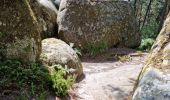 Tocht Stappen Fontainebleau - Fontainebleau sentier Denecourt Colinet 4 - Photo 12