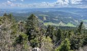 Tour Wandern Arconsat - Montlune par La Meule - Photo 6