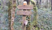 Tour Wandern Rocamadour - roundwalk rocamadour projectwork - Photo 9