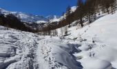 Tour Schneeschuhwandern Puy-Saint-Vincent - le vallon de Narreyroux - Photo 4