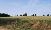 Trail Walking Médréac - GR_37_CA_35_Medreac_Montauban-Bretagne_20220717 - Photo 2