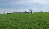 Tocht Stappen Genepiën - Ferme du Foriet- Nivelles   - Photo 4