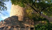 Tour Zu Fuß Bensheim - Rundwanderweg Bensheim Auerbacher Schloss 3: Mühltal-Weg - Photo 4