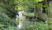 Tour Wandern Wirten - Trou des fées, Montauban & Fourneau Marchand - Photo 9