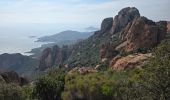 Trail Walking Saint-Raphaël - Pic du cap roux - Photo 14