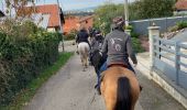 Trail Horseback riding Bouxwiller - rando acpl chez sandra 12 10 24 - Photo 3