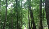 Trail Walking City of Brussels - Bois Cambré et Forest Soignes - Photo 10