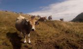 Trail Walking Bussang - les neufs bois depuis la Bouloie - Photo 1