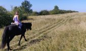 Trail Horseback riding Molsheim - 2021-09-02 Balade Dompeter Scharrach Dangolsheim - Photo 2