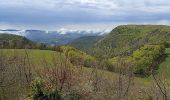 Percorso Marcia Nant - Nant-Causse Begon-St Jean du Bruel - Photo 12