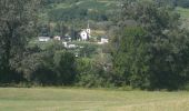 Tocht Stappen Apremont - 20190817 - Photo 12