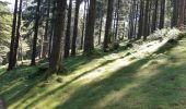 Tour Wandern Diedolshausen - Circuit de la Tête des Faux - Photo 13