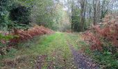 Trail Walking Esneux - mon E d'Esneux - Photo 8
