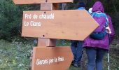 Randonnée Marche Beuil - De là Pinea au quartier le Pommier - Photo 2