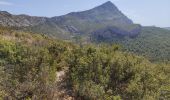 Excursión Senderismo Saint-Marc-Jaumegarde - Randonnée des crêtes au départ du barrage de Bimont  - Photo 15