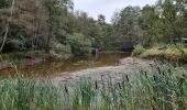 Tocht Stappen Spa - grand tour de la fagne de Malchamps - Photo 1