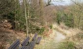 Trail On foot Detmold - Zugangsweg Hermannshöhen - Detmold - Photo 7