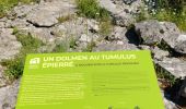 Percorso Marcia Labeaume - reco 22-Circuit des dolmens/Labeaume  - Photo 1