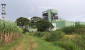 Tocht Stappen Le Robert - Pointe Savane - Plage du Raisiinier - Photo 15